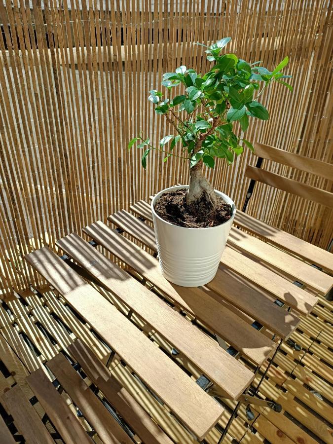 Sole&Scudo Apartment Венария Реале Екстериор снимка